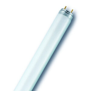 OSRAM